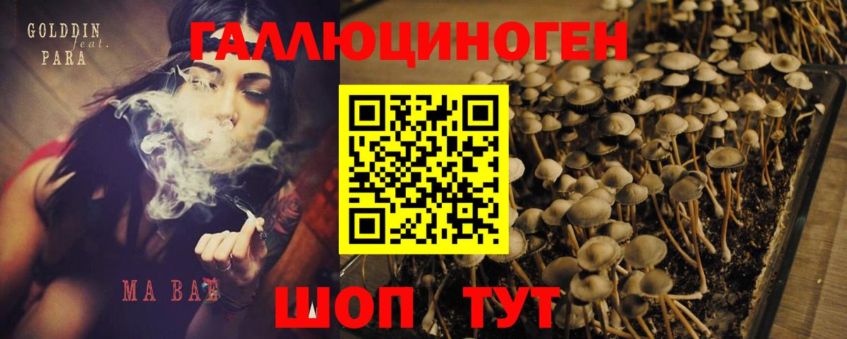 Псилоцибиновые грибы мицелий Рыбинск
