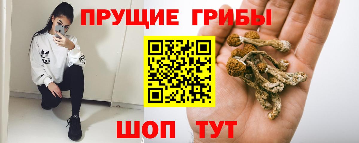 Рыбинск  Псилоцибиновые грибы мухоморы  Вход с VPN 